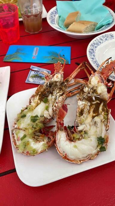 L'Amour A La Plage...Vue Mer Exceptionnelle ! 莱特鲁瓦西莱 外观 照片